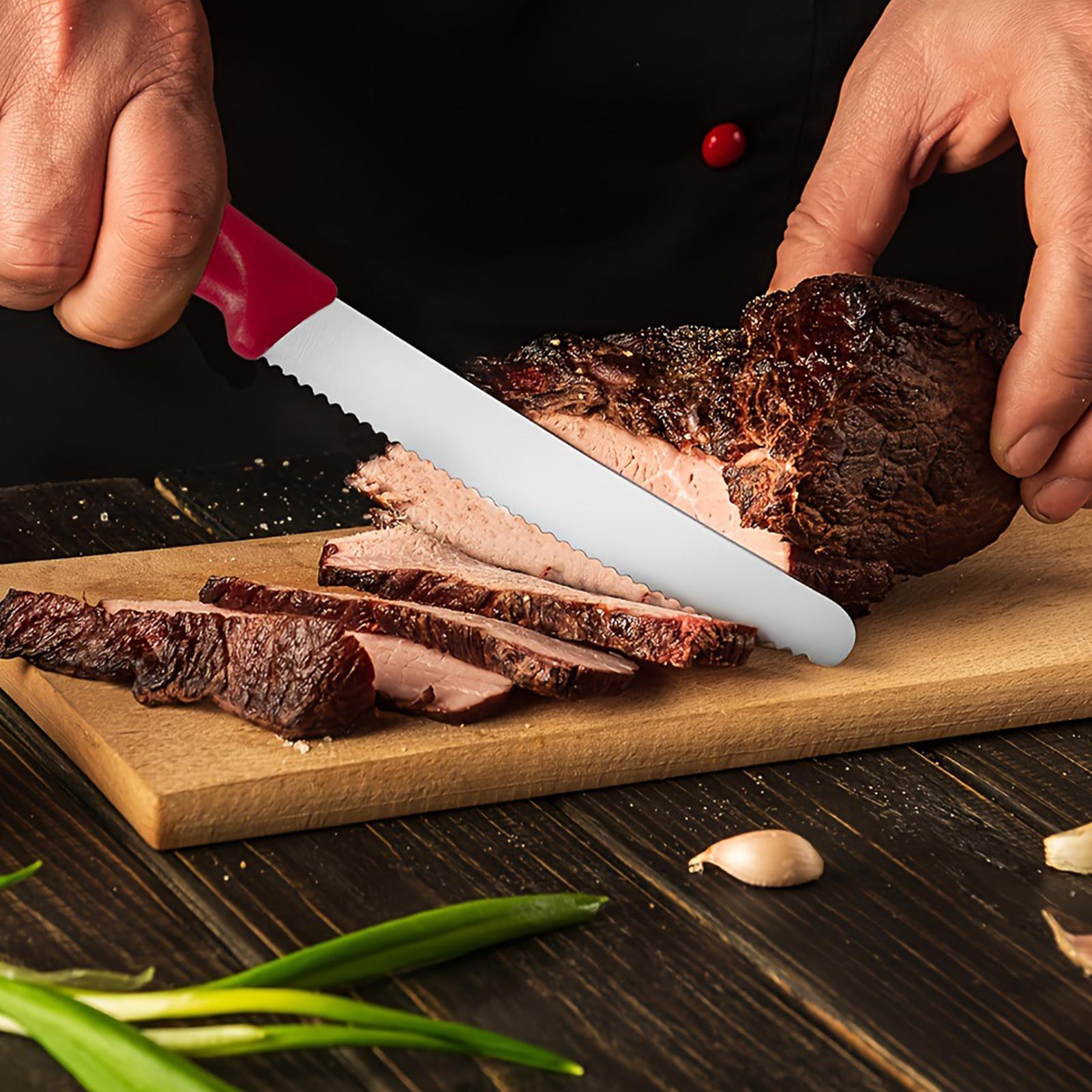 Serrated Steak Cutter 5 Pieces - Meal Prep Kitchen ulasan dan harga