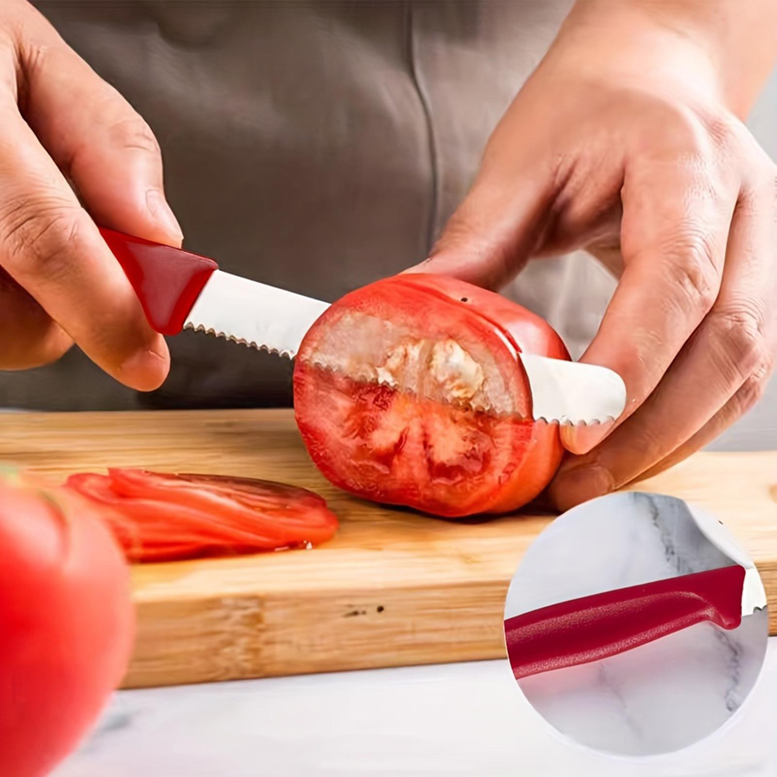 Serrated Steak Cutter 5 Pieces - Meal Prep Kitchen ulasan dan harga