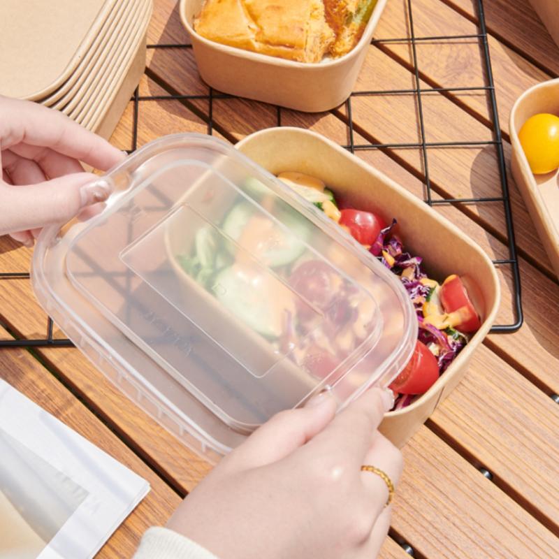 * 10PCS/Set Disposable Lunch B - Meal Prep Bowl ulasan dan harga