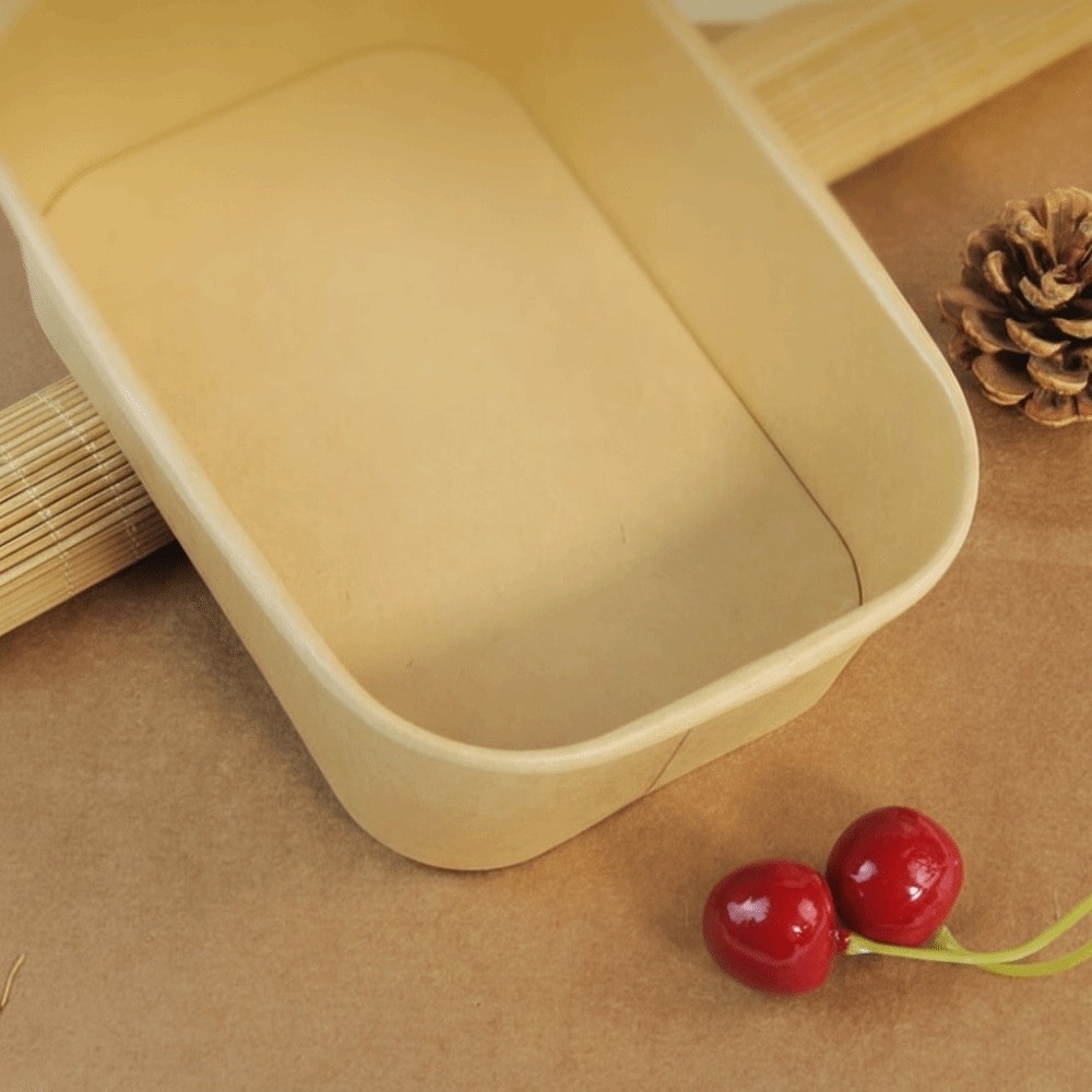 10PCS/Set Square Disposable Lu - Meal Prep Bowl ulasan dan harga